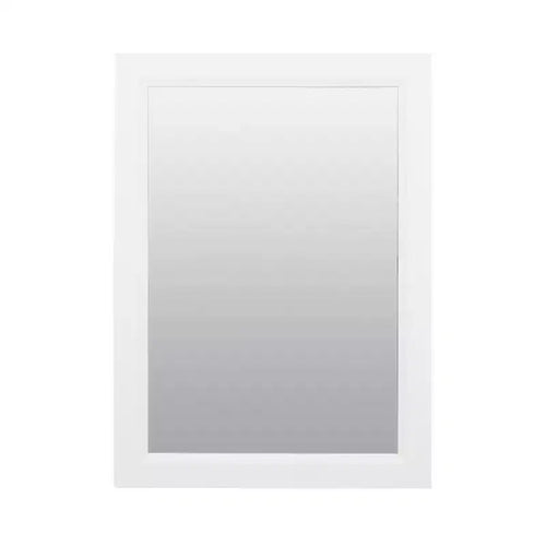 Zenith Products 22.38 in. H X 16.38 in. W X 5 in. D Rectangle Medicine Cabinet