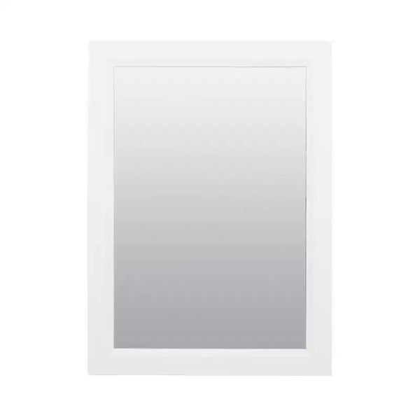 Zenith Products 22.38 in. H X 16.38 in. W X 5 in. D Rectangle Medicine Cabinet